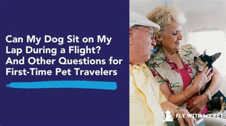 Can my dog sit on my lap during a flight