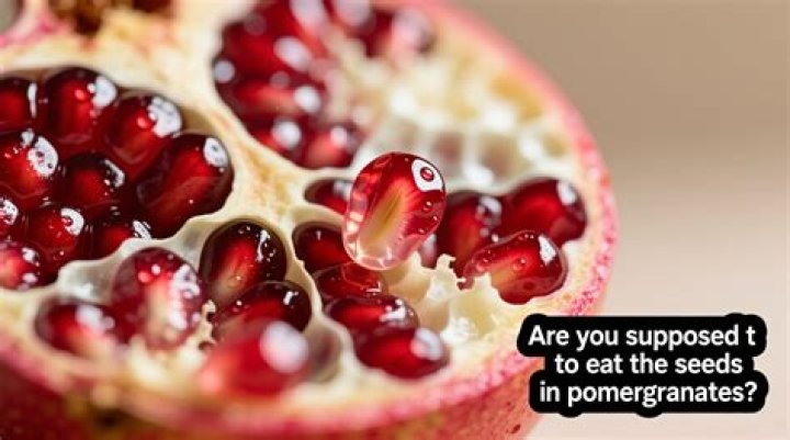 Can rats have pomegranate seeds