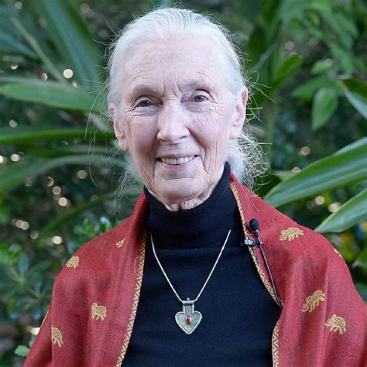Caroline Goodall Bio, Wiki, Age, Height, Family, Husband ,Movies, Salary and Net Worth.