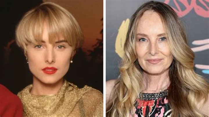 Chynna Phillips Bio, Wiki, Age, Husband, Songs, Movies, Christian, and Net Worth.