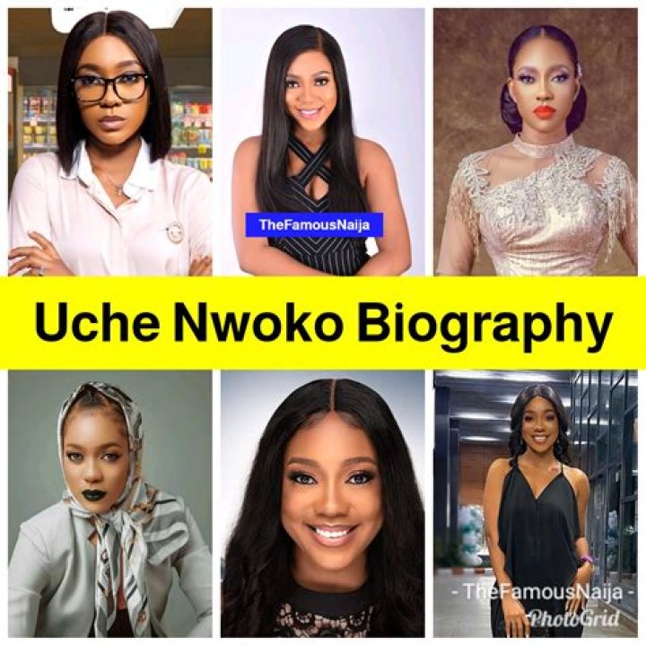Demas Nwoko’s biography, net worth, fact, career, awards and life story
