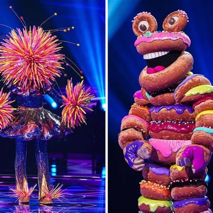 
Doughnuts Masked Singer Height, Weight, Net Worth, Age, Birthday, Wikipedia, Who, Nationality, Biography 
