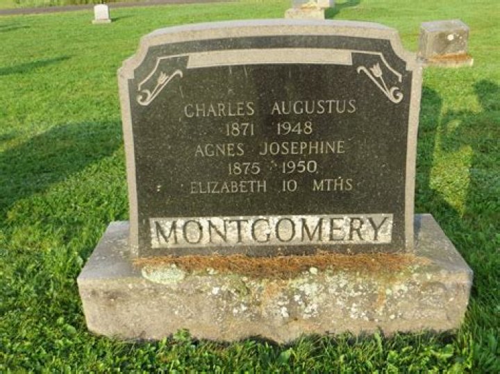 Elizabeth Montgomery’s Net Worth, Biography, Career, Awards, Fact and Life Story