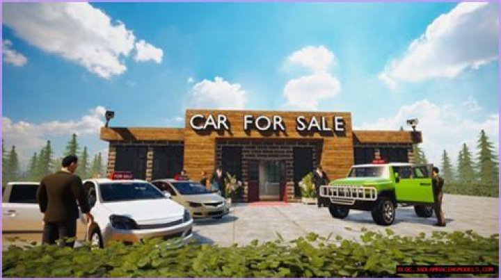 How Much Does Car Collector Steve Todhunter Make?