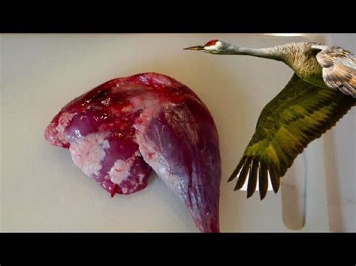 How to cook sandhill crane