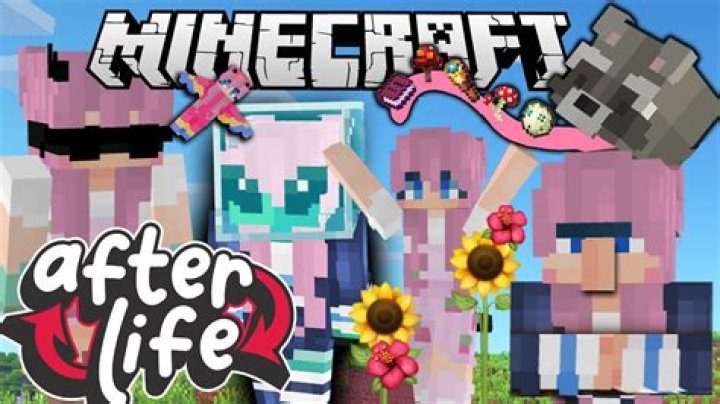 
Is ldshadowlady Pregnant & How Old Is She? Real Name Of The Afterlife Minecraft Commentator 