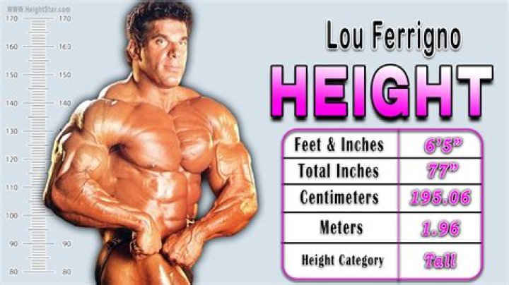 Lou Ferrigno Height, Weight, Net Worth, Age, Birthday, Wikipedia, Who, Nationality, Biography
