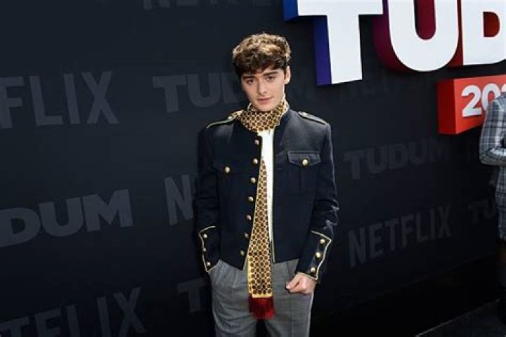 Noah Schnapp Age, Net Worth, Height, TikTok, Movies And TV Shows