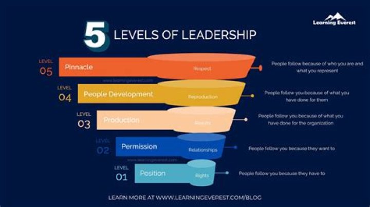 What are the levels of profession