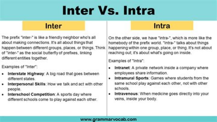 What is the meaning of inter school