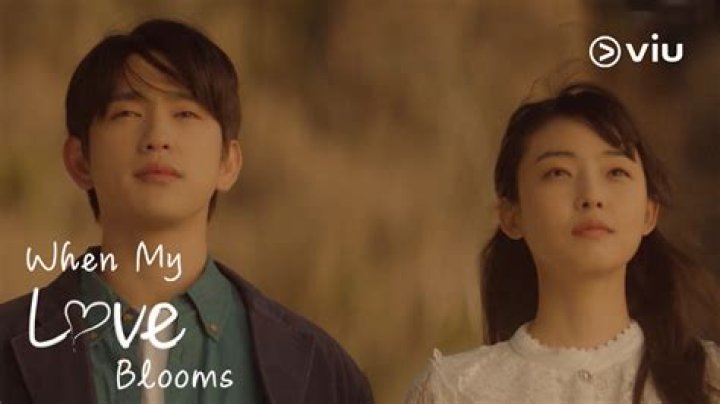 When Love Blooms Movie Cast and Filming Locations