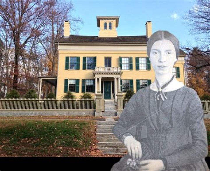 Where did Emily Wilkinson go to college? Where is Emily Wilkinson from? How old is Emily Mayfield?