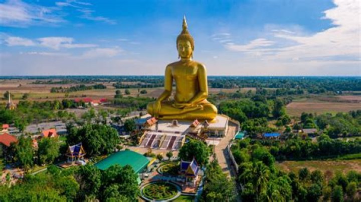 Where Is Big Buddha From Fox 13 Now, Is He Going Or Still On Network? Everything About The Reporter