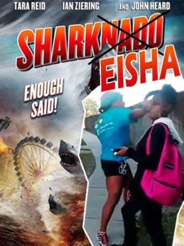 Where Is Sharkeisha Thompson Now? Fight Video Explained -In Details