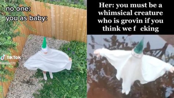‘Whimsical Little Creature Puppet’ Memes Are Hilariously Taking Over TikTok