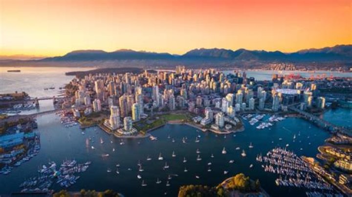 Who Is Craig Auringer From Vancouver? Investor Wikipedia & Net Worth