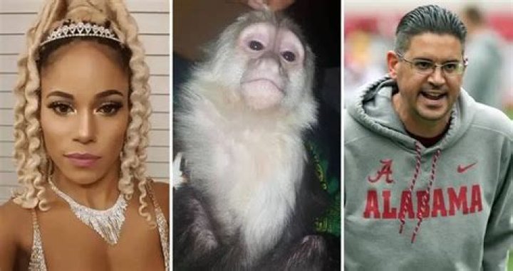 Who Is Pole Assassin? Jeff Banks Dancer Girlfriend Makes News After Monkey Story