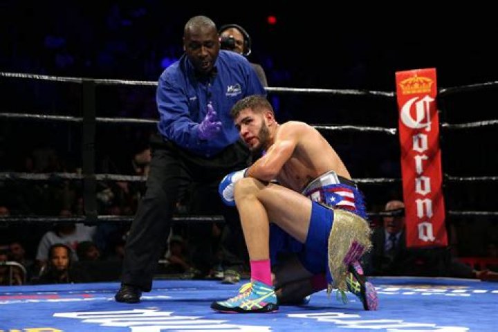 Who Is Prichard Colon’s Wife? Everything On The Family Of The Former Boxer